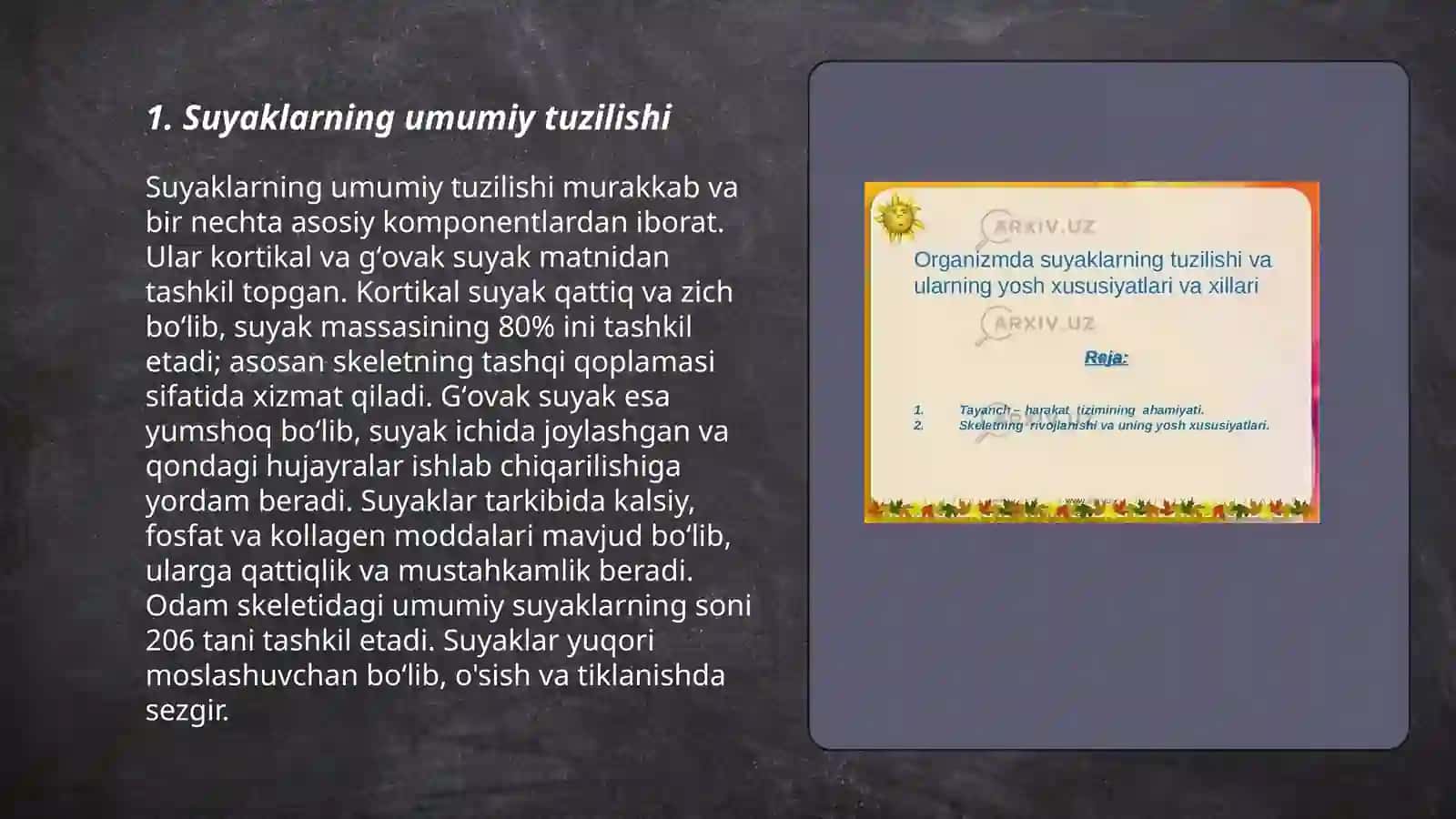 Suyaklarning tuzilishi 3