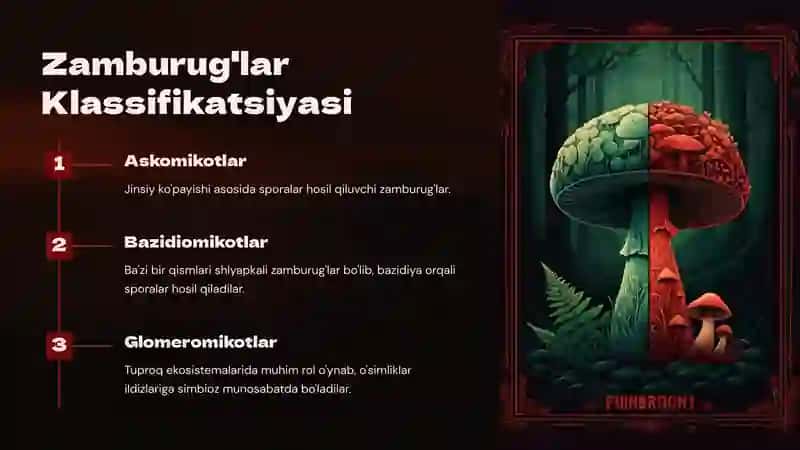 Zamburug'lar va Sodda Hayvonlar 3