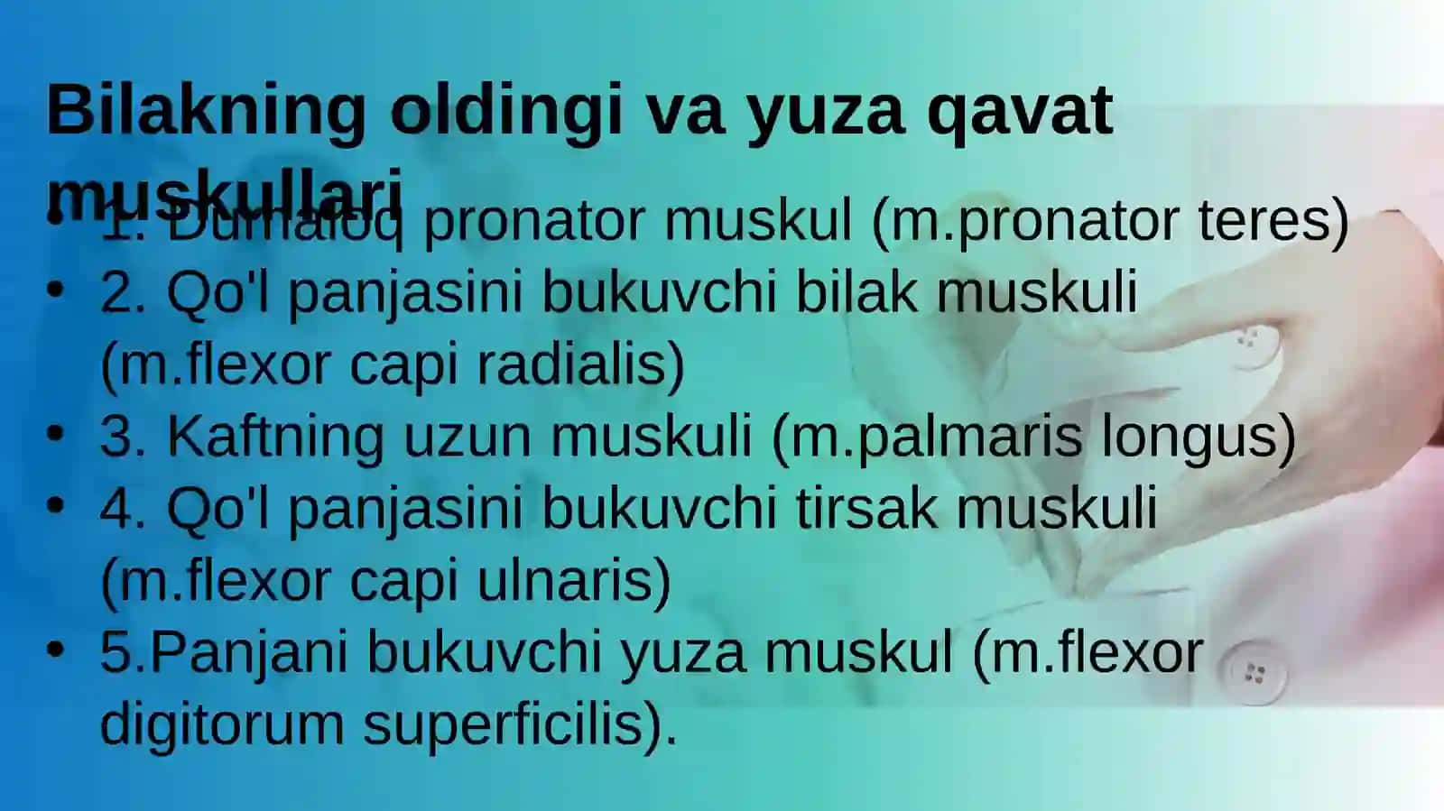 "Bilak Tirsak Va panja Muskullari" 3