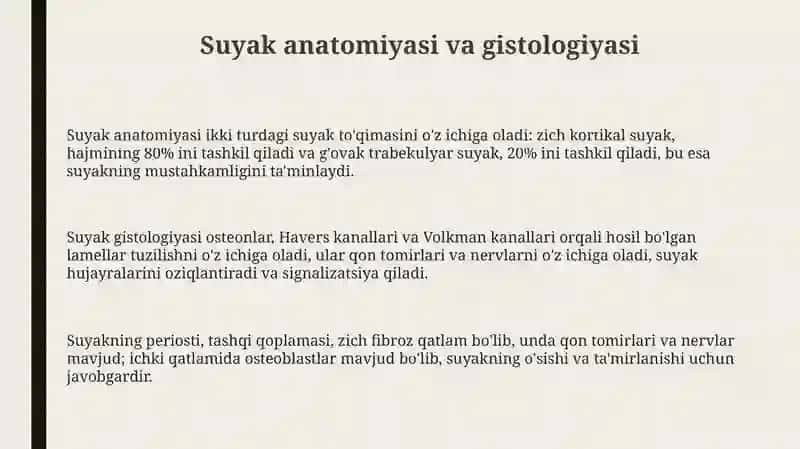 Osteologiya 3