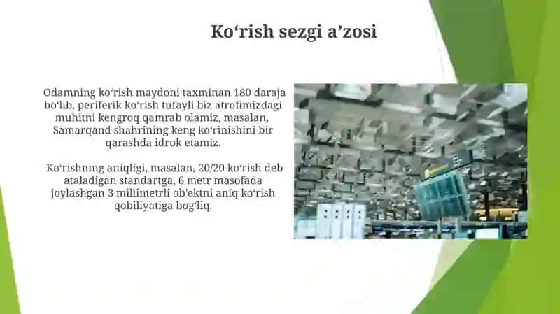 Sezgilar haqida umumiy ma'lumot 3