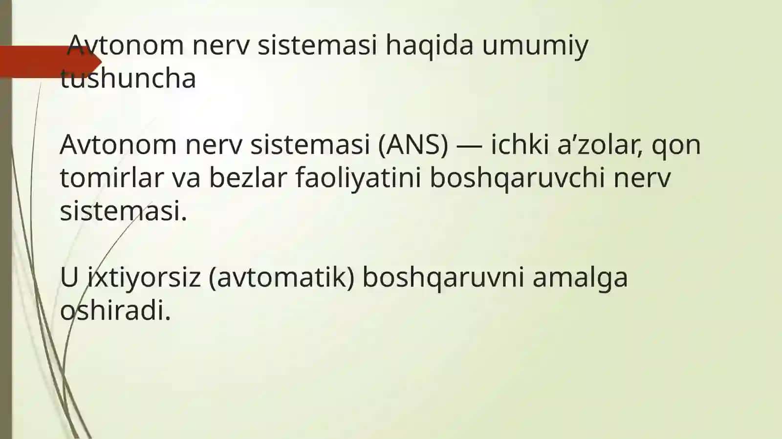 Vegetativ nerv sistemasi anatomiyasi 3
