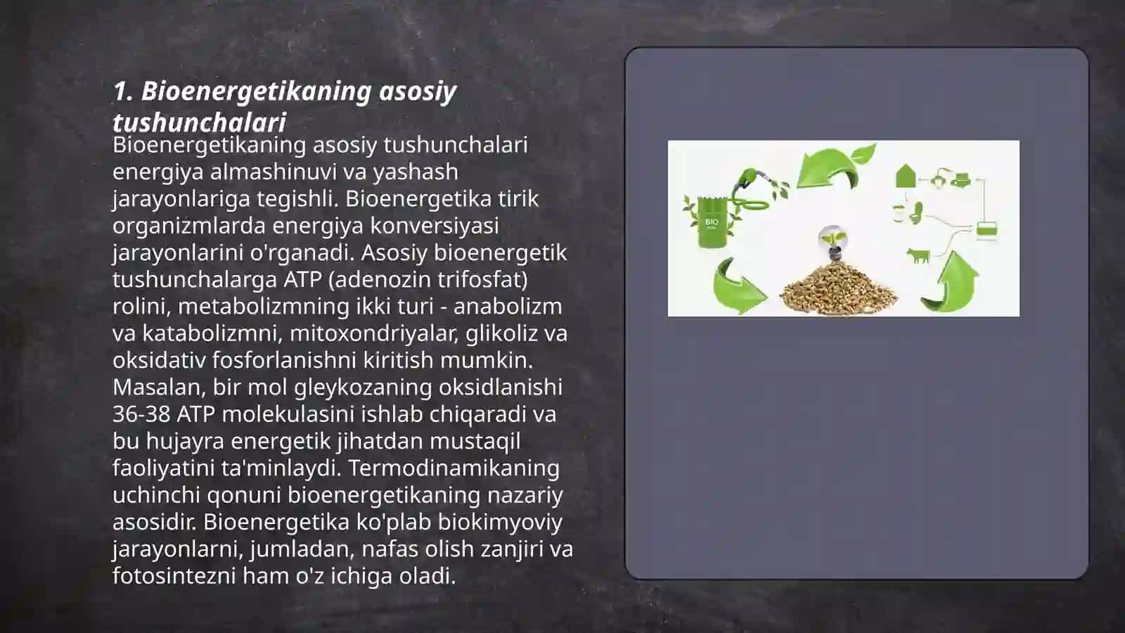 A.Louen bioenergetic nazariya 3