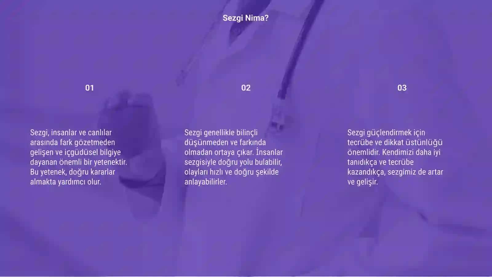 Sezgi 3