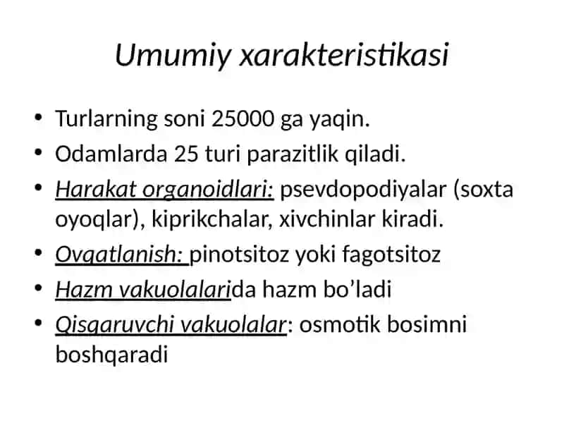 SODDA HAYVONLAR (PROTOZA) TIPI 3