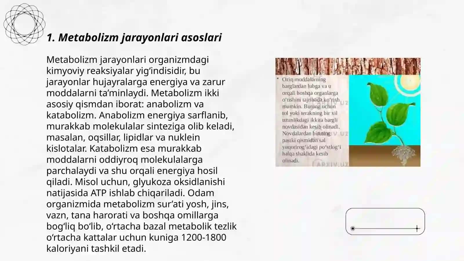 Metabolizm jarayonida energiya hosil bo'lishi va sarflanishi 3