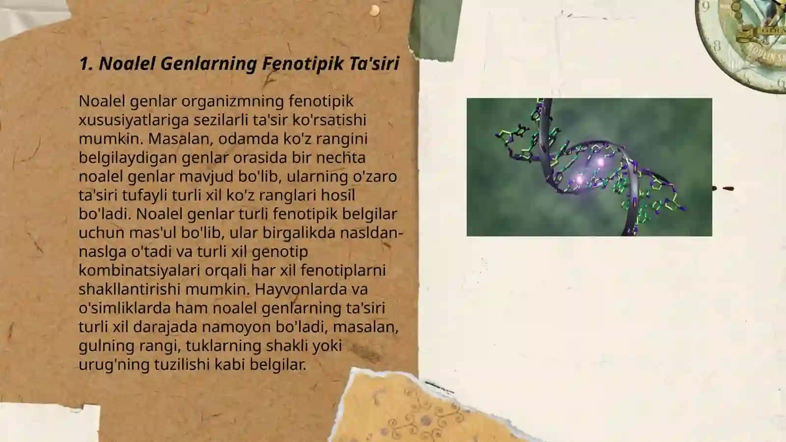 Noalel genlarning oʻzaro taʼsiri pleyotropiya 3