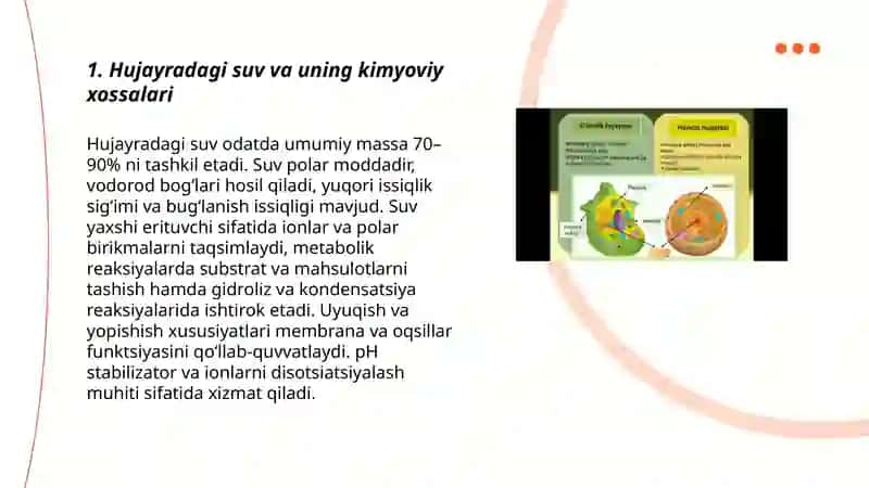 Hujayraning kimyoviy tarkibi 3