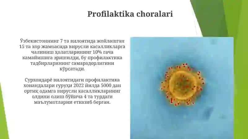 Viruslar 3