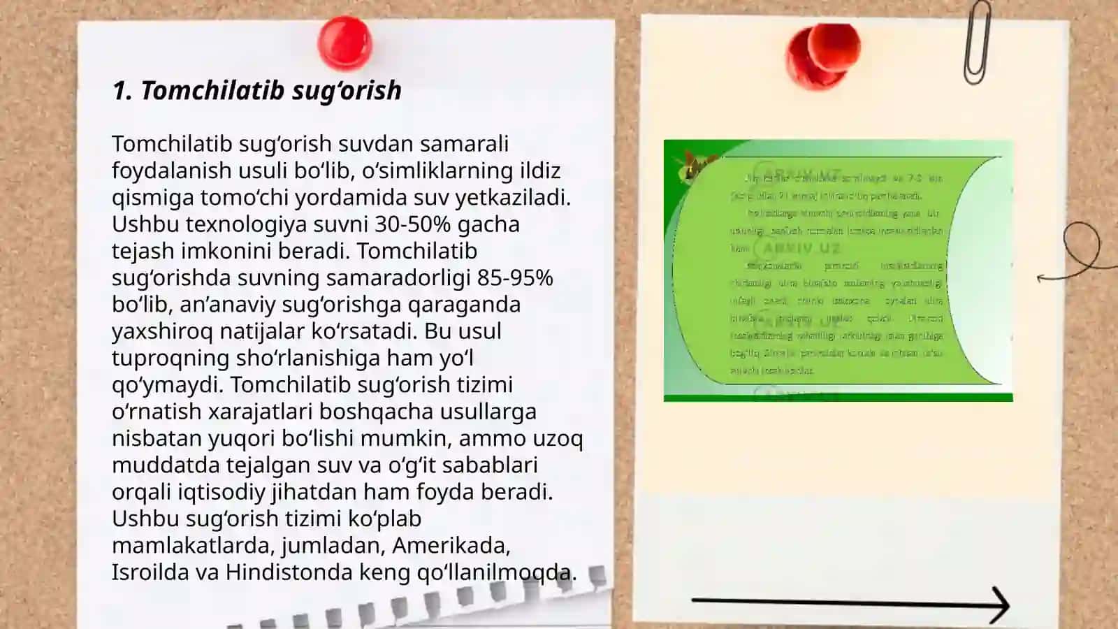 Tomchilatib sug‘orish 3