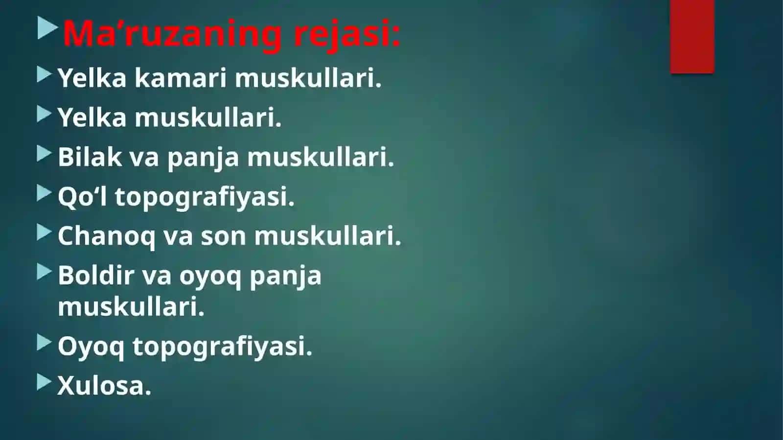 Yelka kamari qo'l sohasi 3