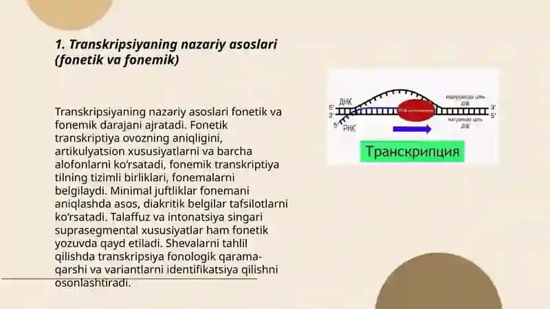 Transkripsiya 3