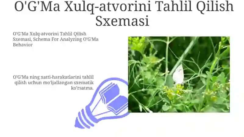 Og‘Ma Xulq Atvorni Tahlil Qilish Sxemasi 3