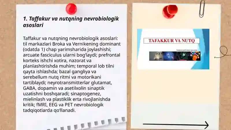 Taffakur va nutqning nevrobiologik asoslari 3