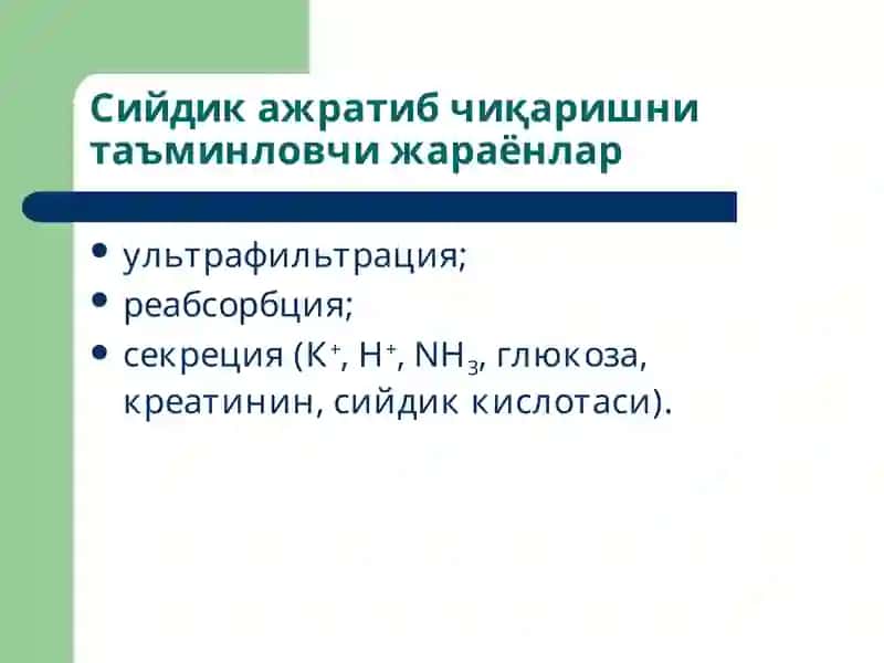 Буйраклар патофизиологияси 3