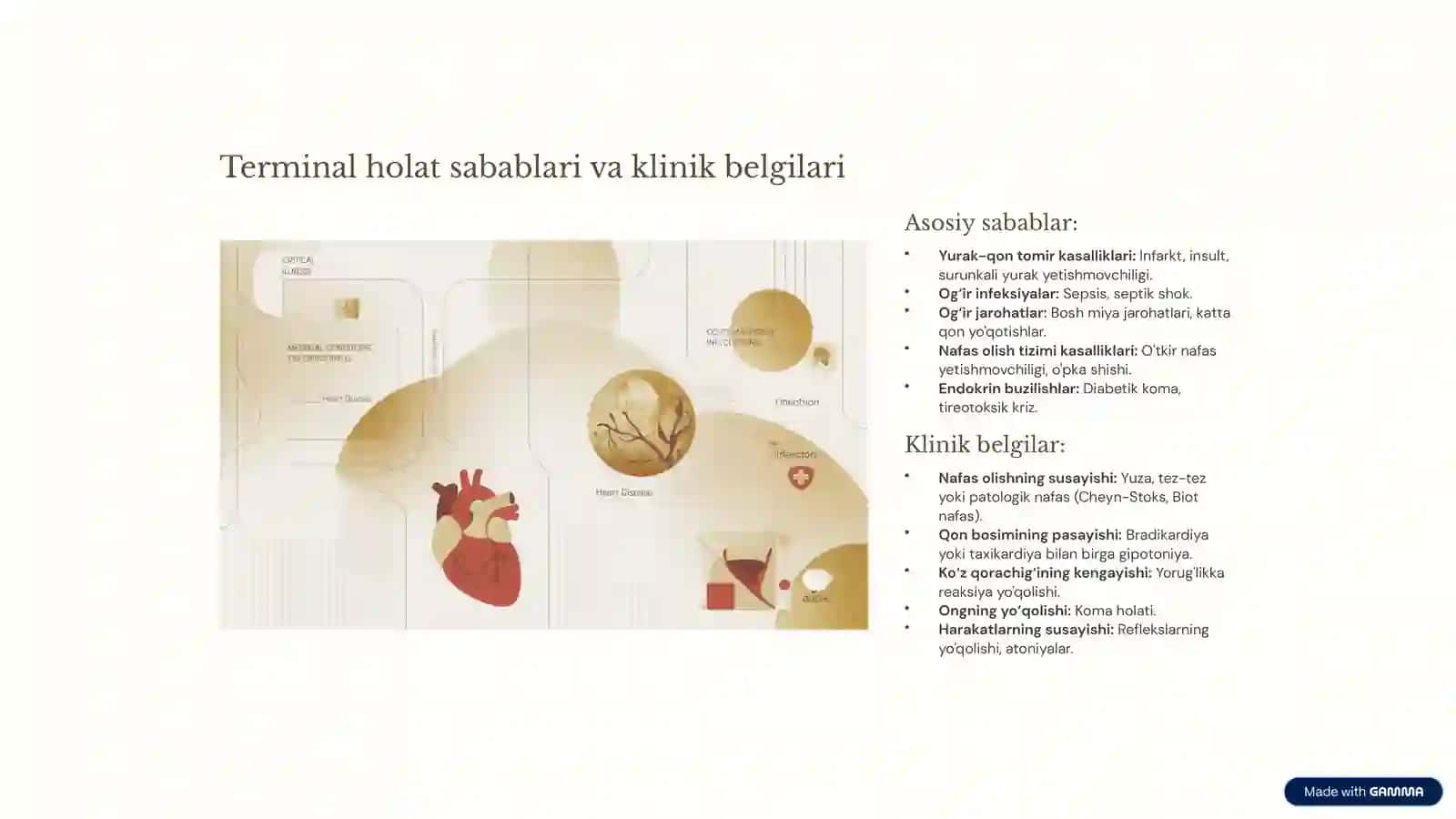 Terminal holat: Tushuncha va bosqichlar 3