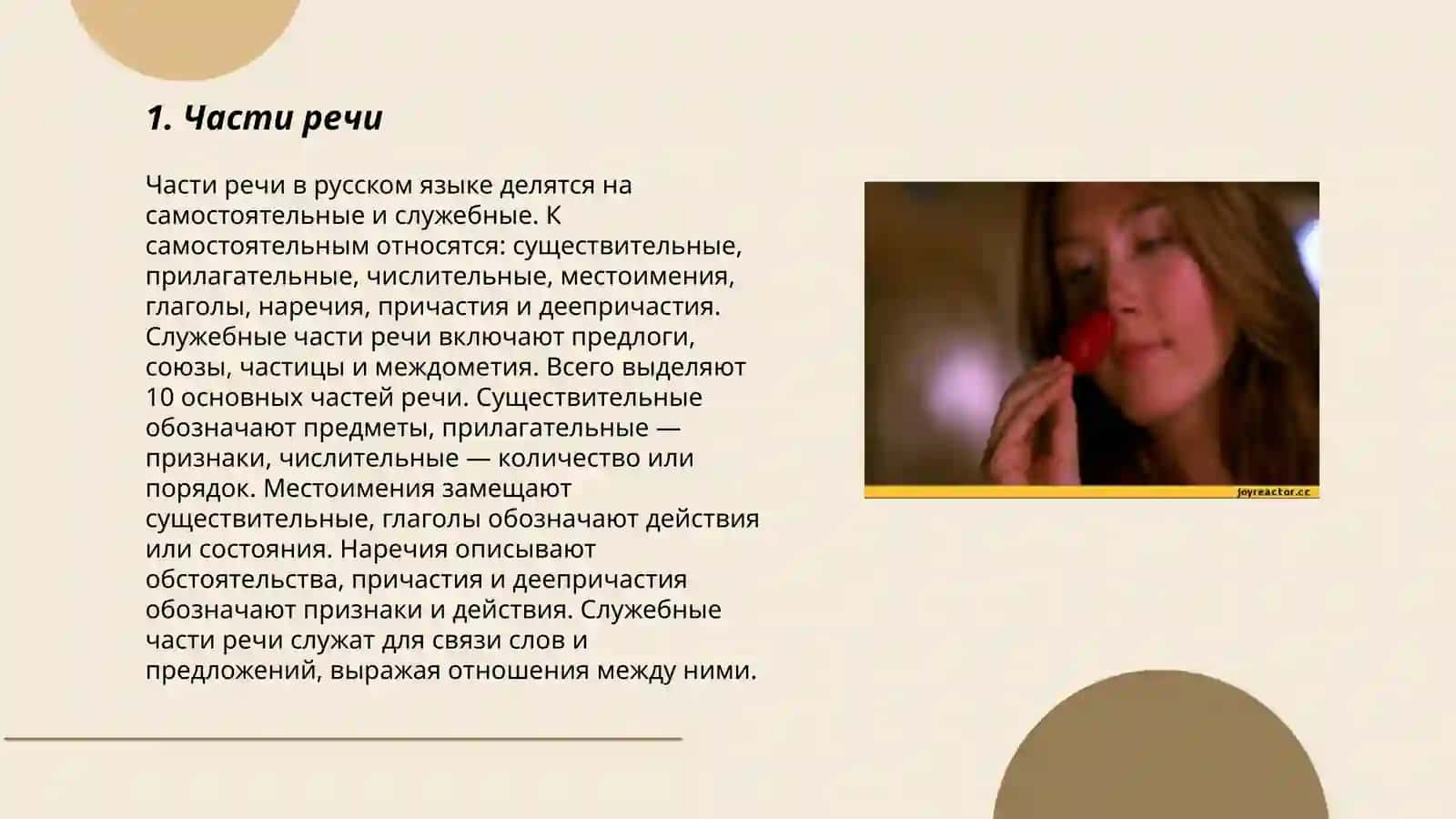Морфология 3