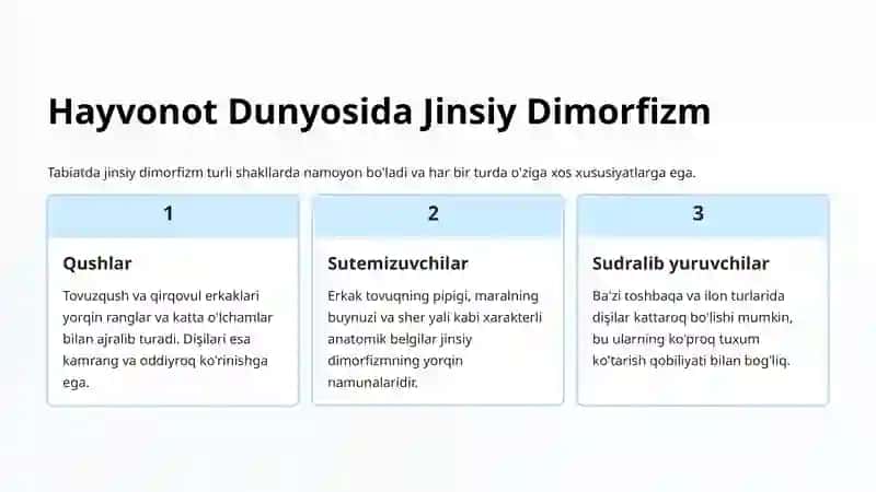 Jinsiy Dimorfizm Anatomiyasi 3