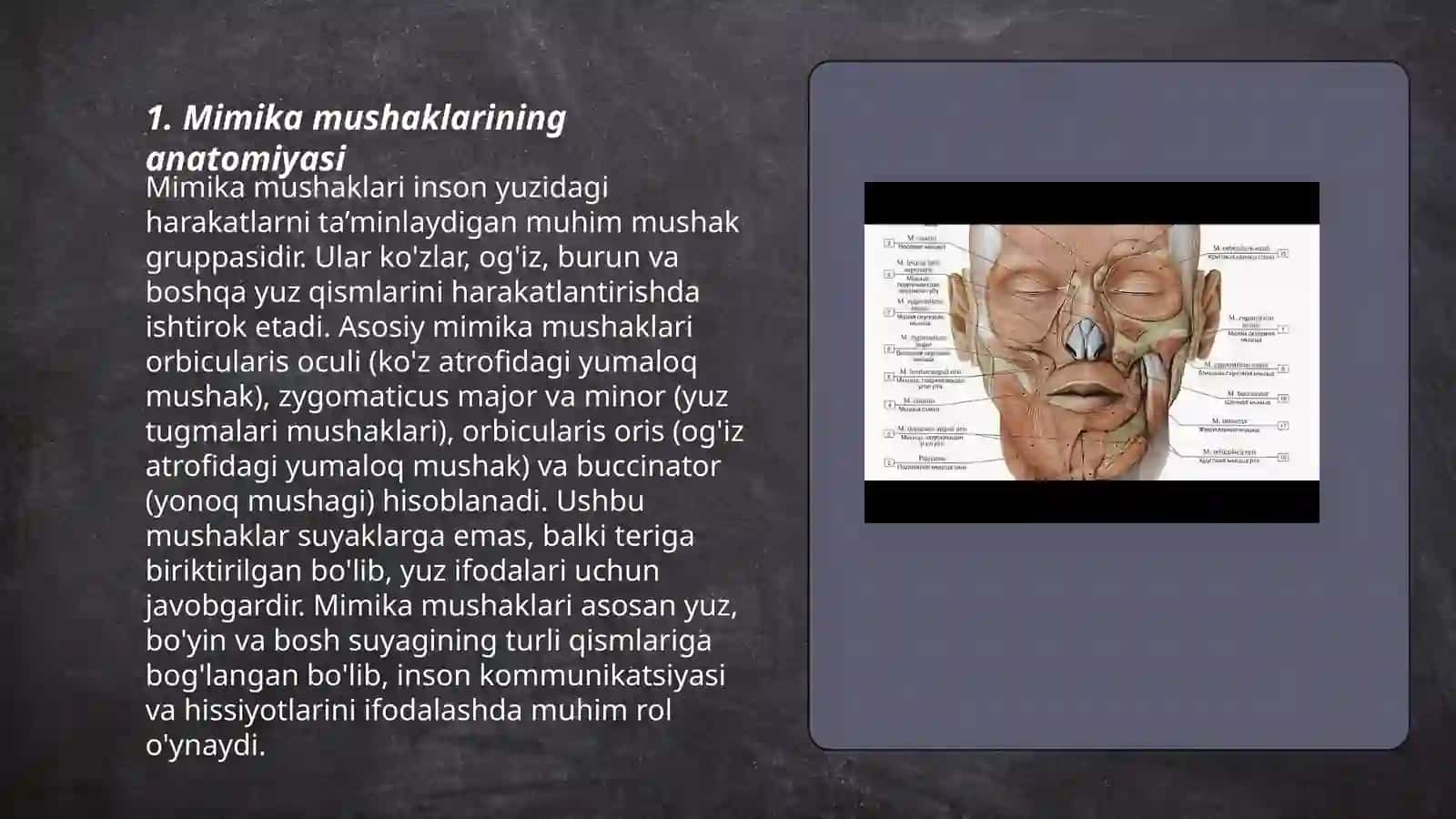Mimika mushaklari,va ularning xususiyati 3
