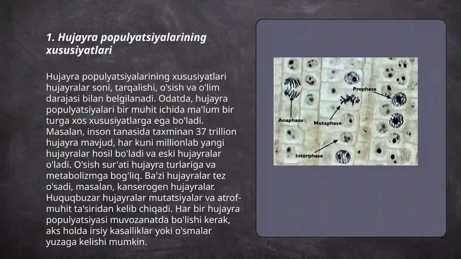 Hujayra populyatsiyalarining xususiyatlari 3