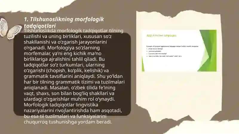 Tillarning morfologik tasnifi 3