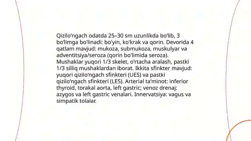 Qiziloʻngach va meʼda 3