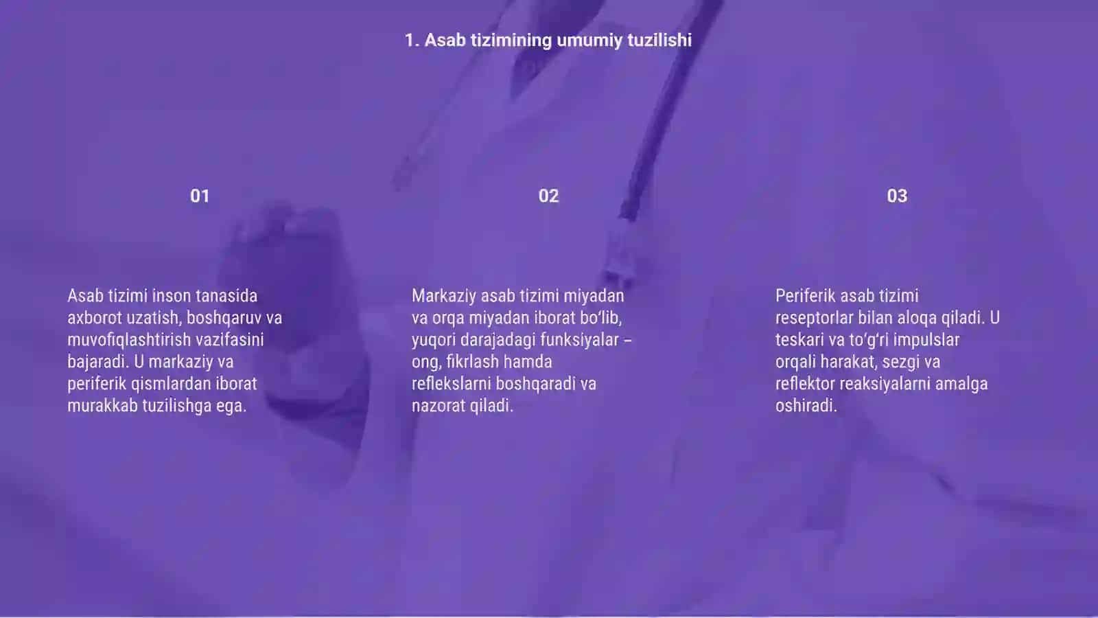Asab tizimi oliy bo'limlarining vazifalari 3