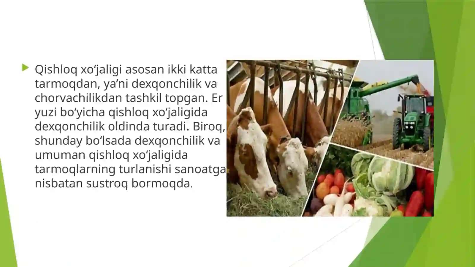 QISHLOQ XO‘JALIGI TARMOQLARINING JOYLANISHI 3