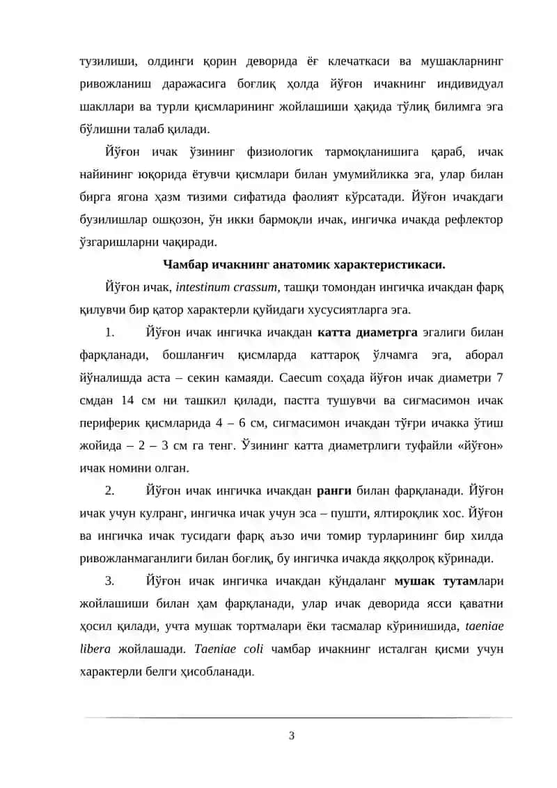 ЙЎҒОН ИЧАКНИНГ АНАТОМИЯСИ 3