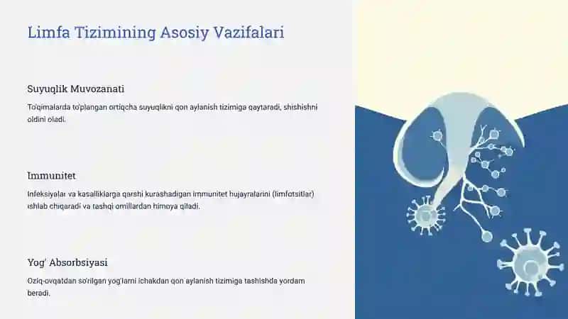 Limfa-Tizimining-Fiziologiyasi 3