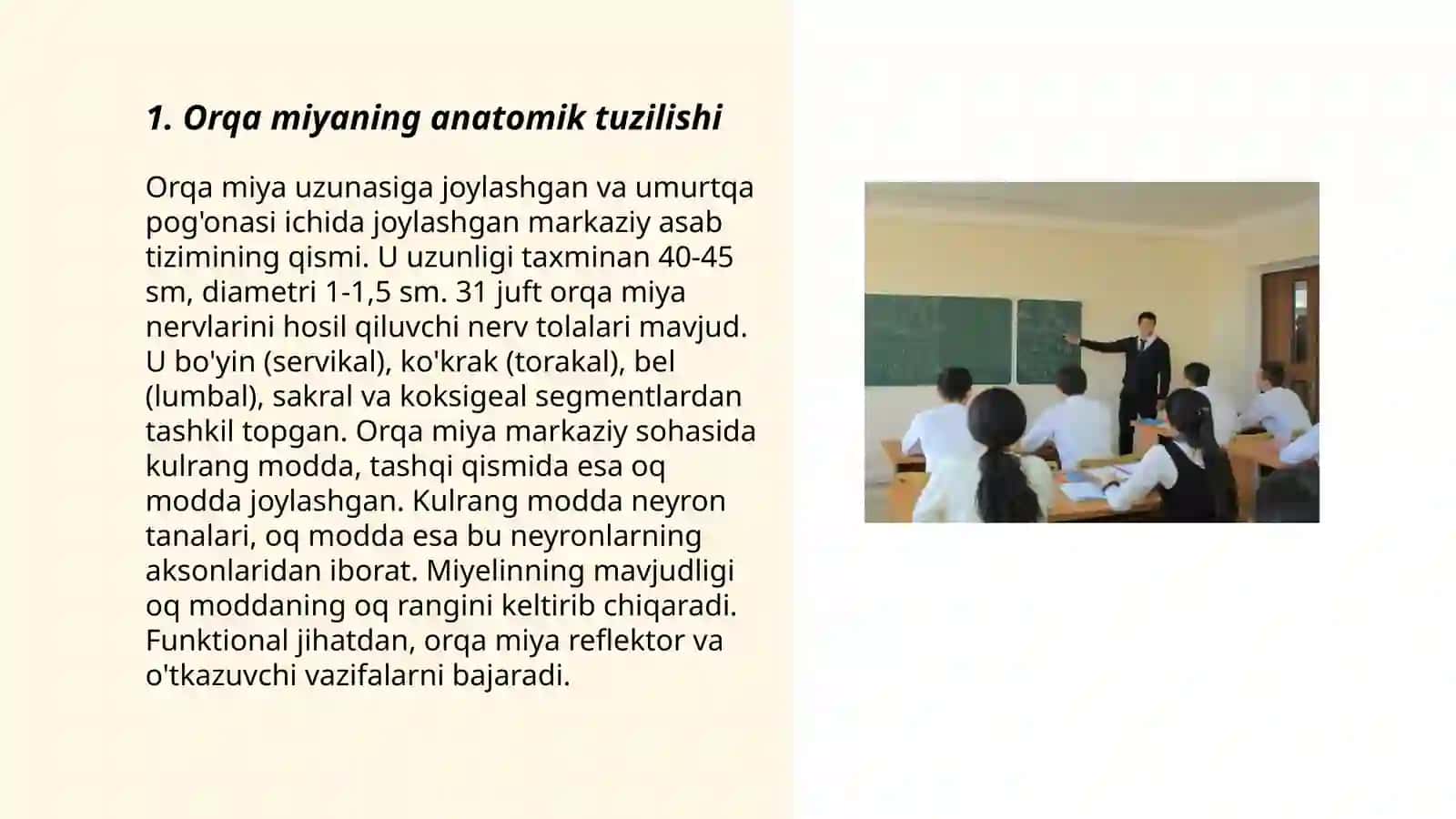 Orqa miyaning o'tkazuvchi yo'llarini o'rganish 3
