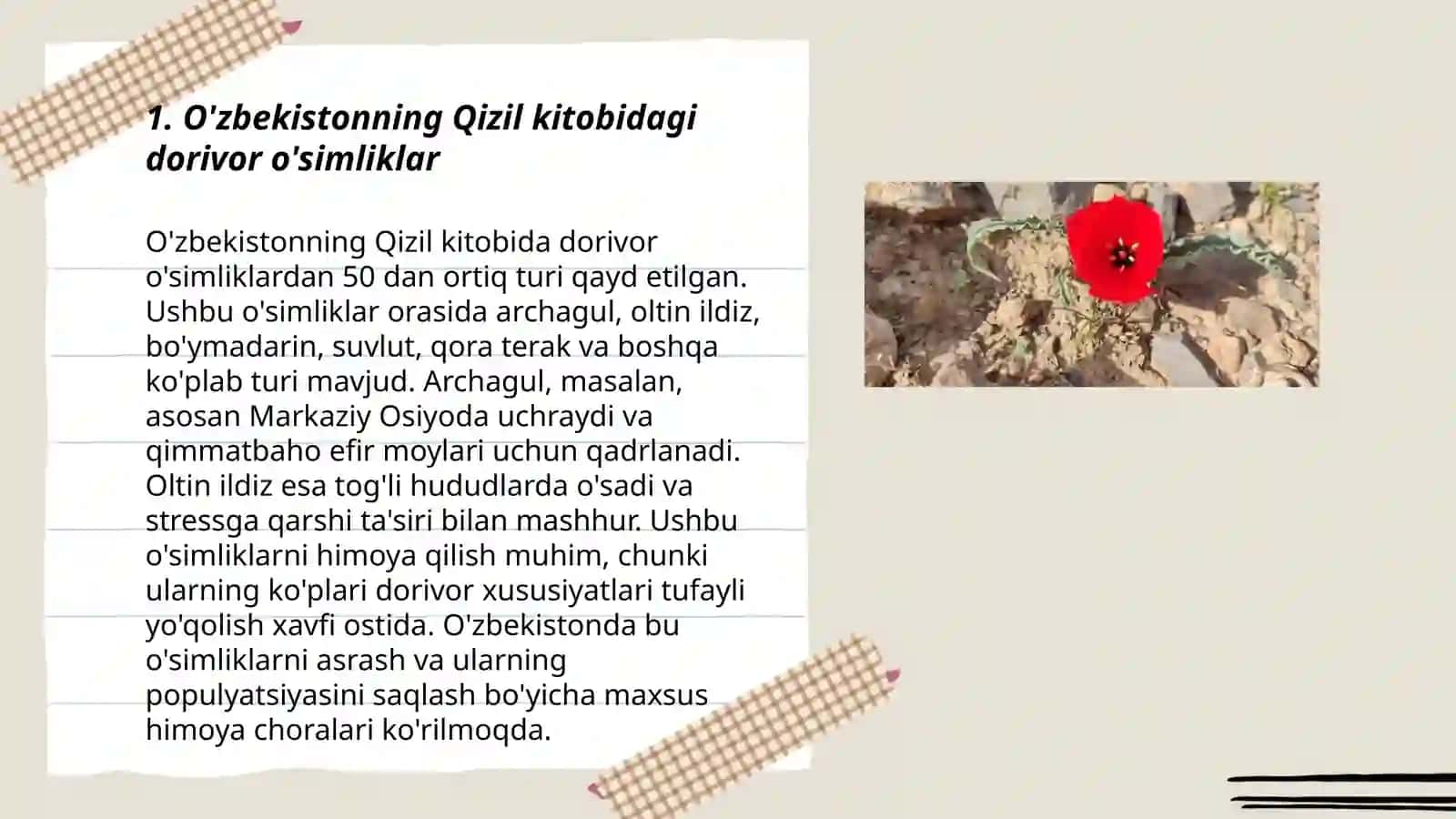 O'zbekistonning Qizil kitobidagi dorivor oʻsimliklar 3
