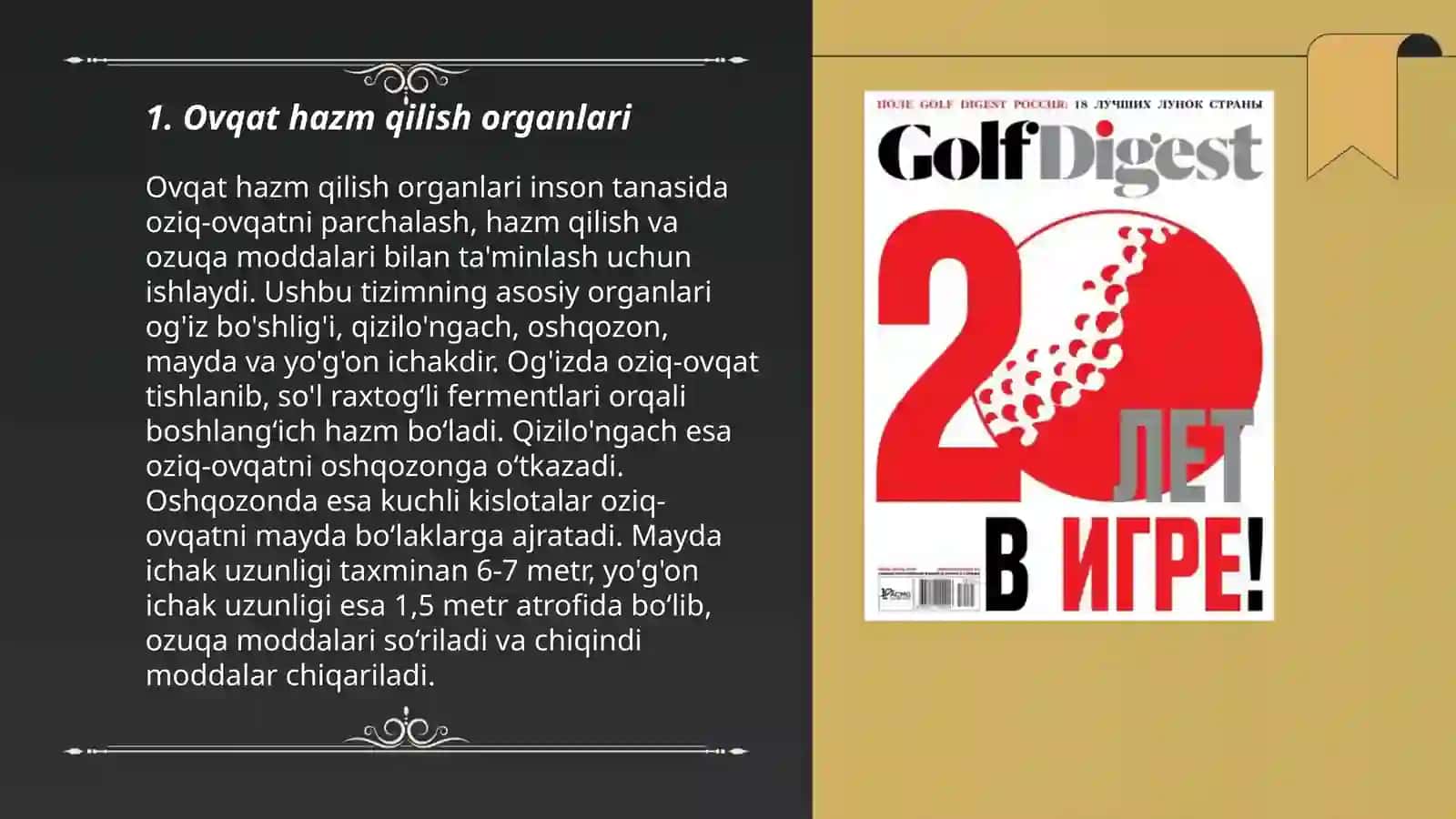Ovqat hazim qilish sestemasi 3