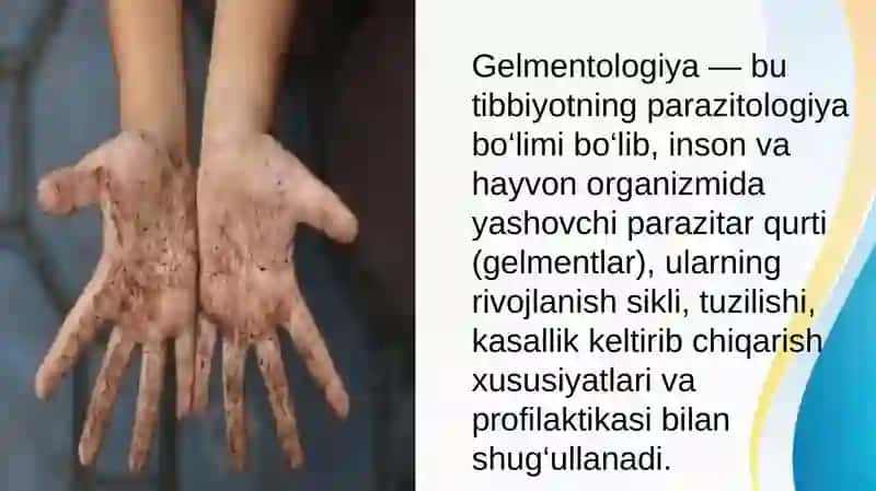 Tibbiy Gelmentologiya 3