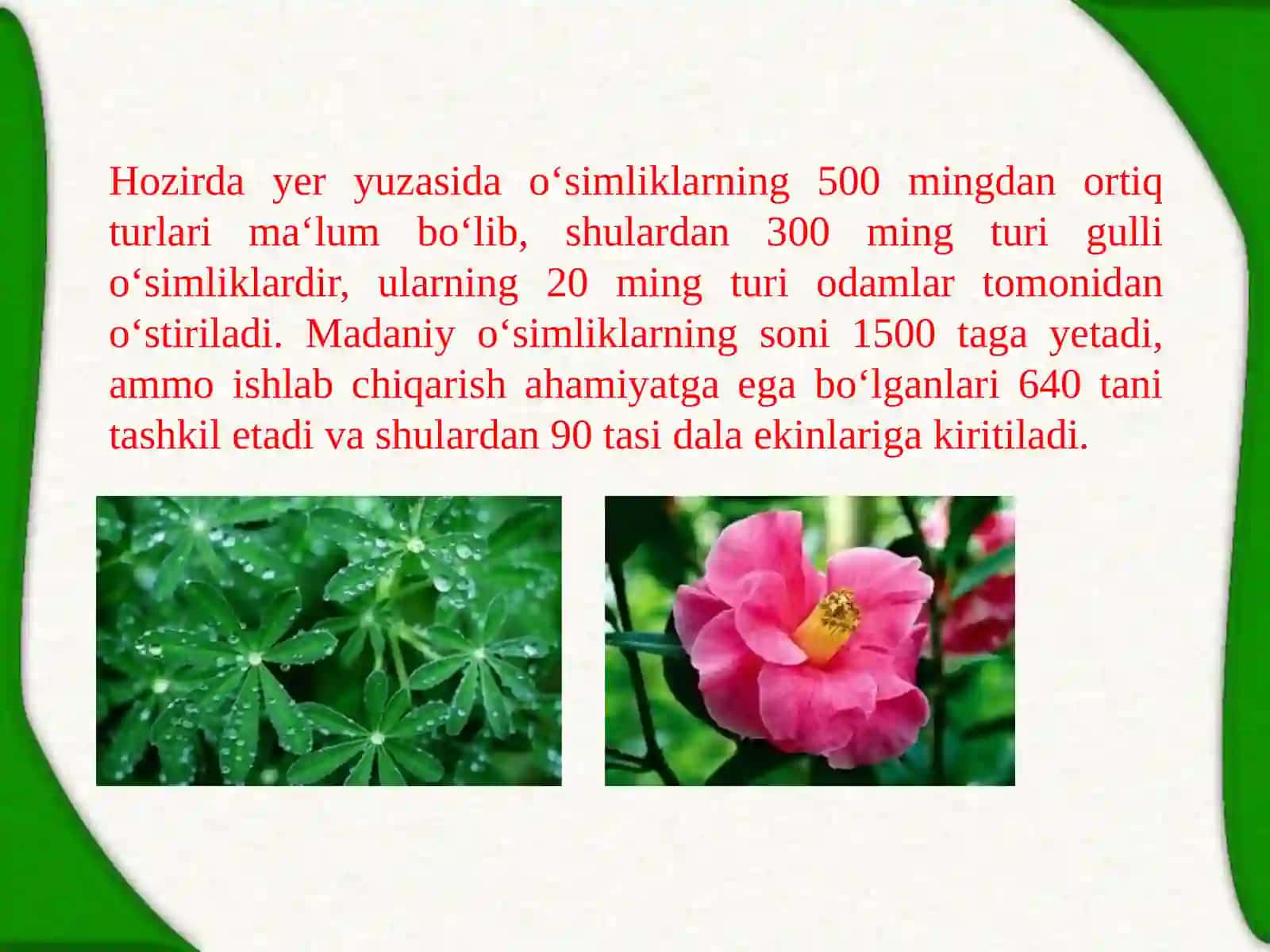 O’simlikshunoslikning tabiiy biologik asoslari 3