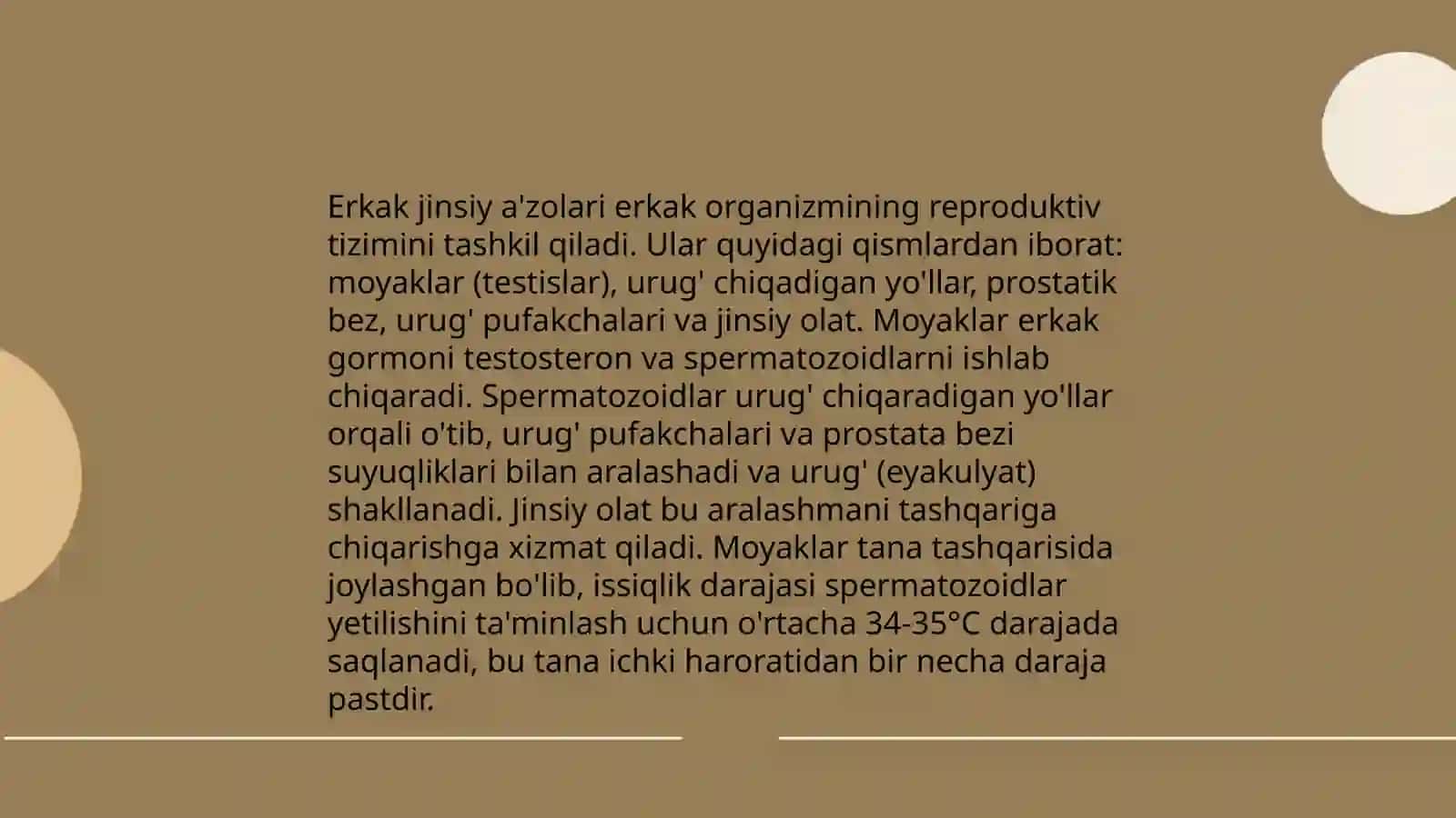 Jinsiy azolar tizimi 3