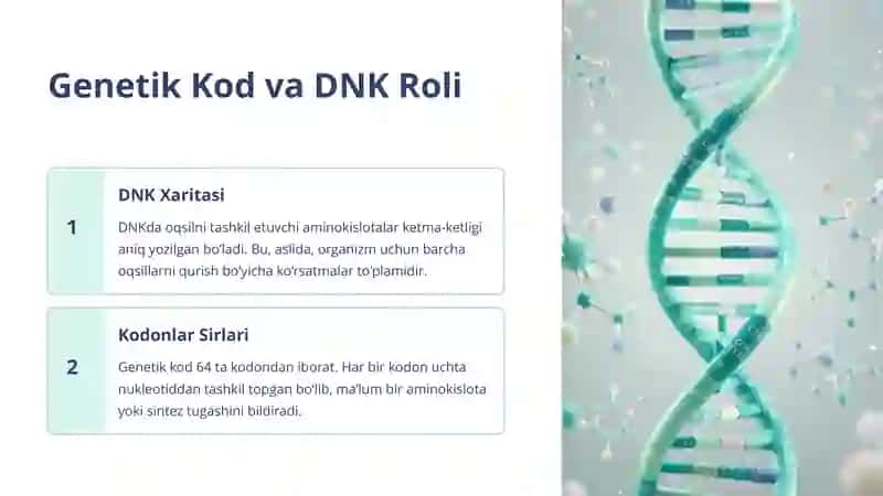 Oqsil Biosintezi: Hayotning Asosiy Jarayoni 3