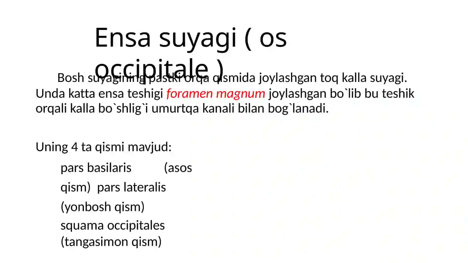 Ensa peshona va tepa suyaklari anatomiyasi 3