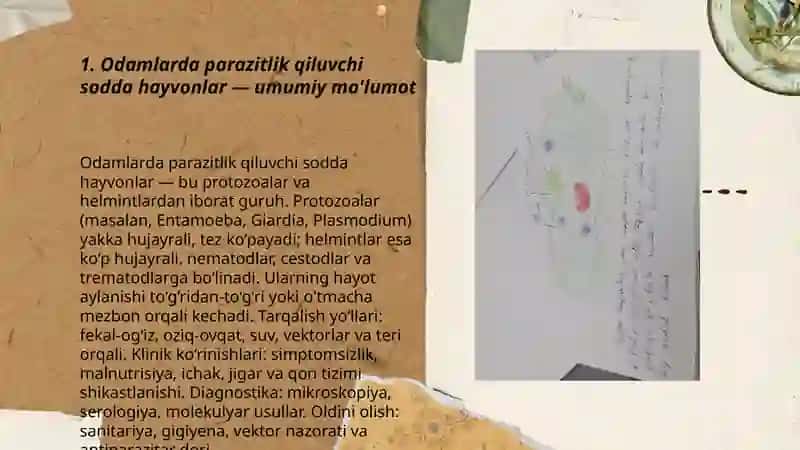Odamlarda parazitlik qiluvchi sodda hayvonlar 3