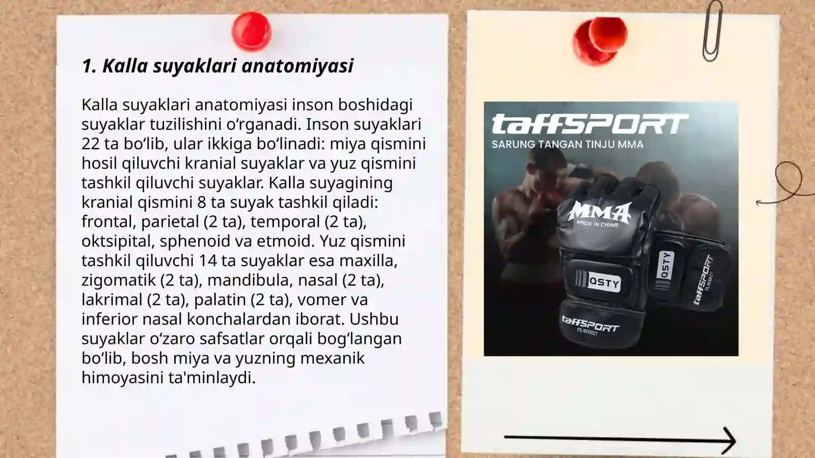 Kalla suyaklari anatomiyasi 3