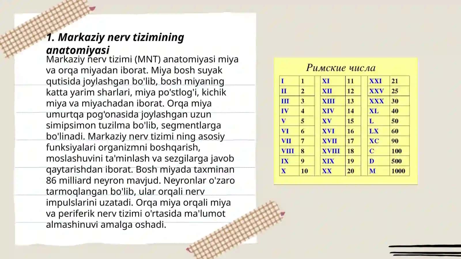 Bosh va orqa miya oʻtkazuv yoʻllari 3