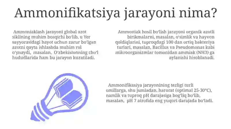 Ammonifikatsiya jarayoni 3