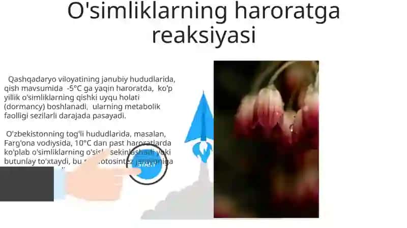 O`simliklarning mavsumiy o`zgarishi 3