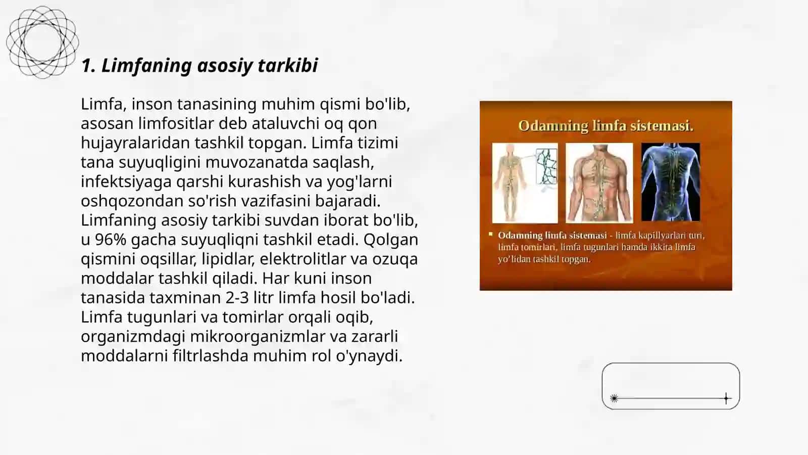 Limfaning tarkibi xususiyati va harakati 3