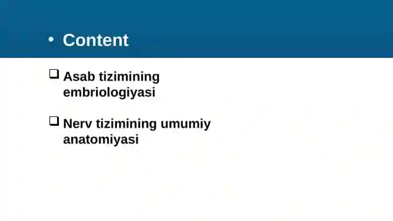 Asab tizimining tashkil etilishi 3