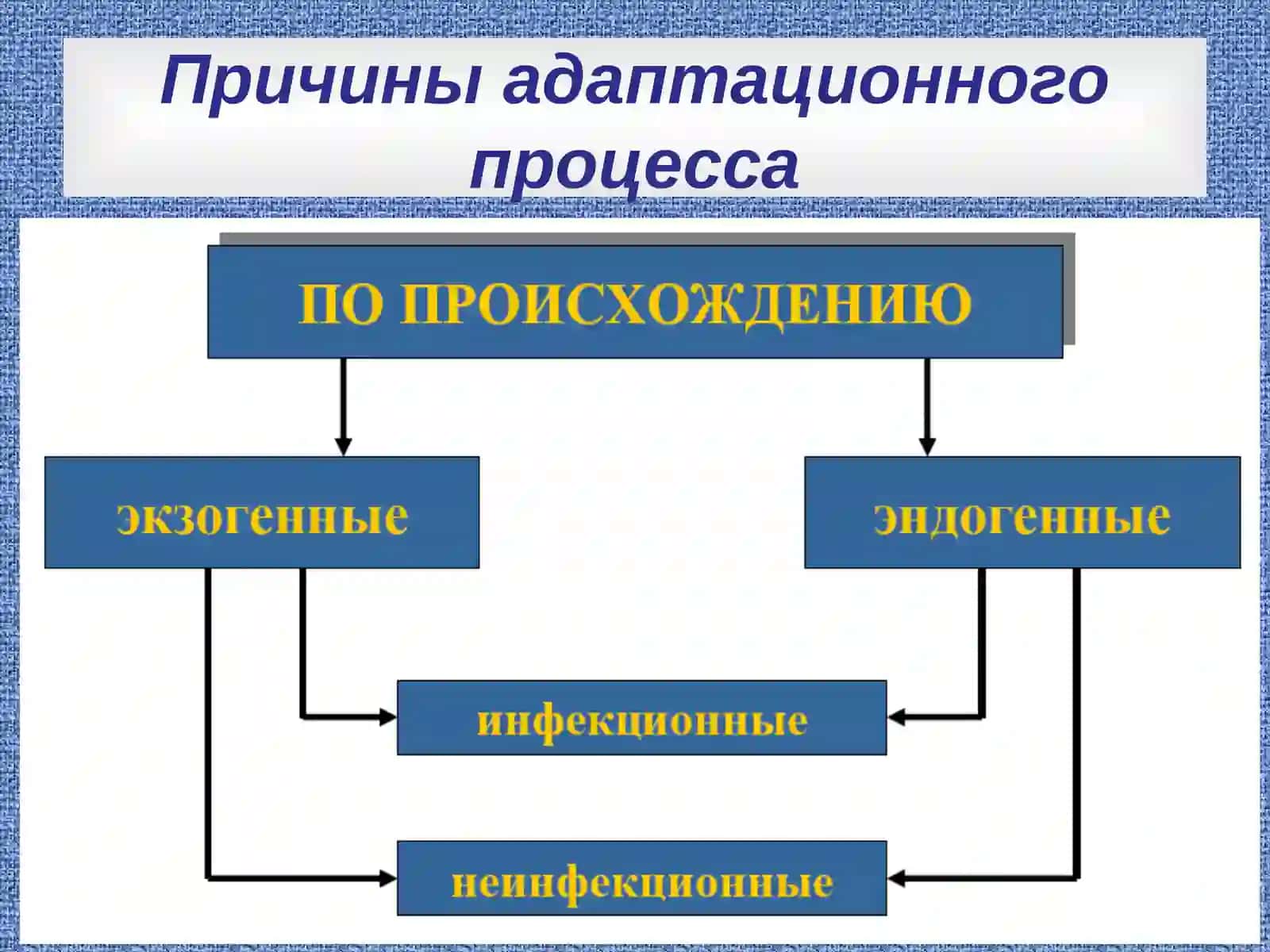 Адаптация в организме 3