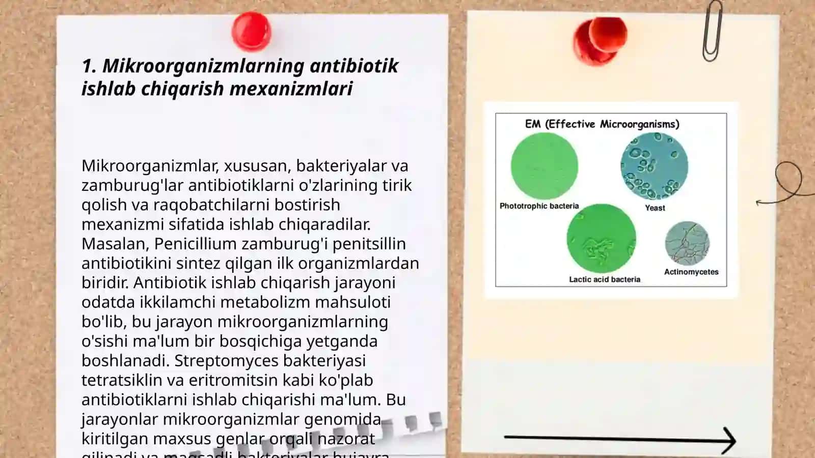 Mikroorganizmlarning antibiotik xususiyati 3