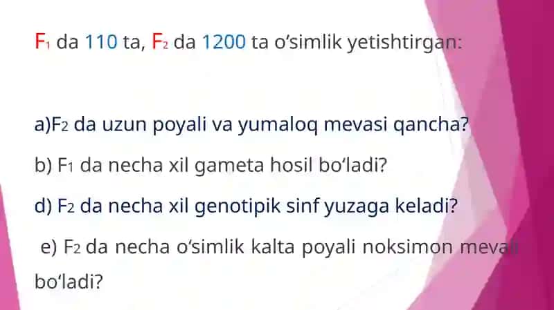 Pomidor o‘simlari genetikasi 3