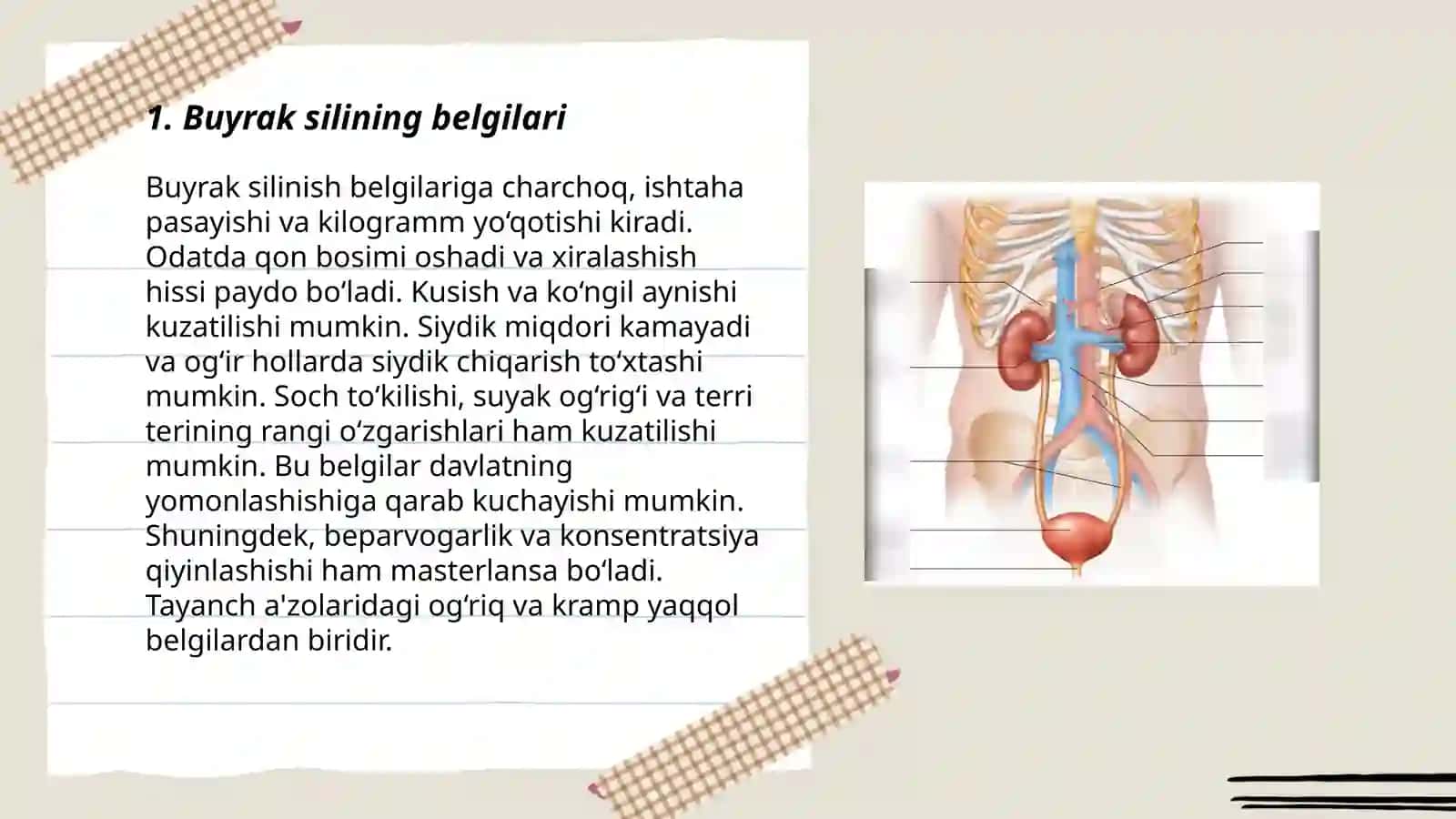 Buyraklar va siydik tanosil a'zolari sili 3
