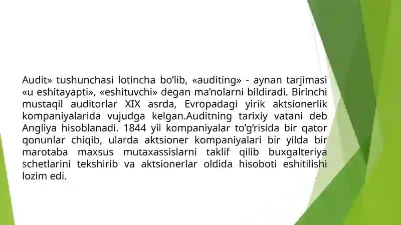 Auditning mohiyati, uning maqsadi va vazifasi 3